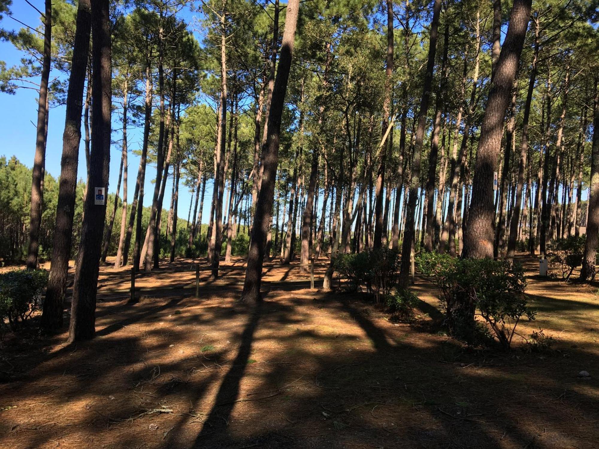 La Bergerie Des Landes Vila Lit-et-Mixe Exterior foto