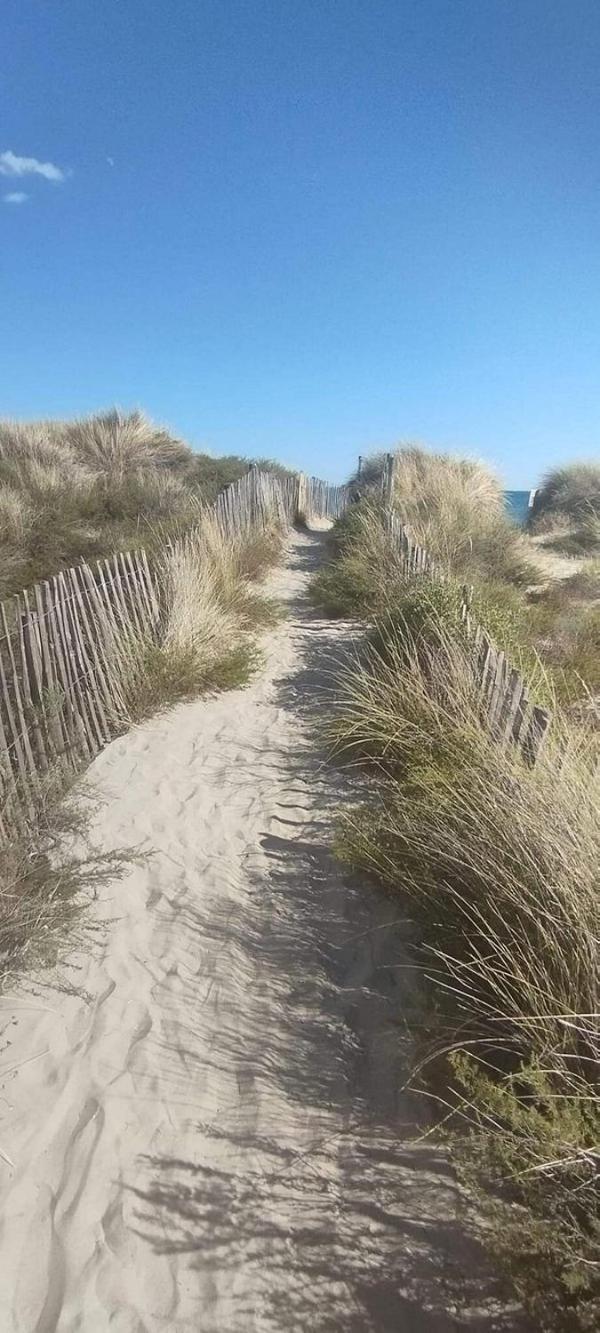 La Bergerie Des Landes Vila Lit-et-Mixe Exterior foto