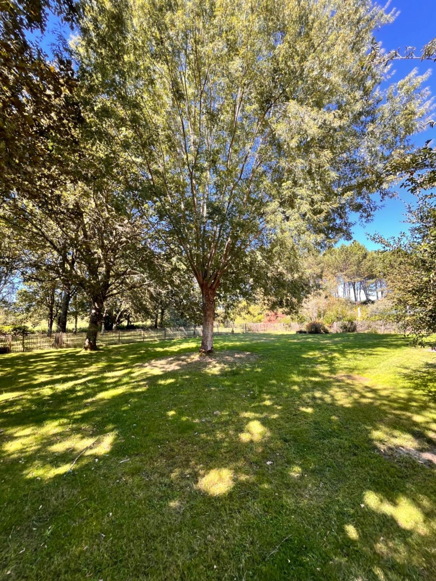 La Bergerie Des Landes Vila Lit-et-Mixe Exterior foto